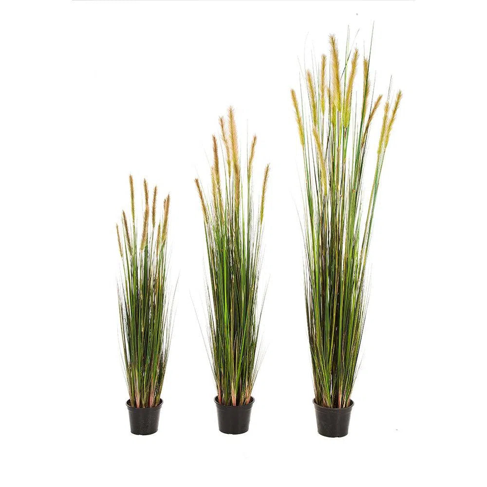 Künstliches Fuchsschwanzgras Ella, 90 - 150 cm