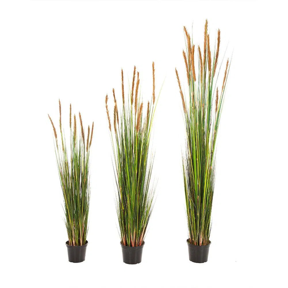 Künstliches Fuchsschwanzgras Elsa, 90 - 120 cm