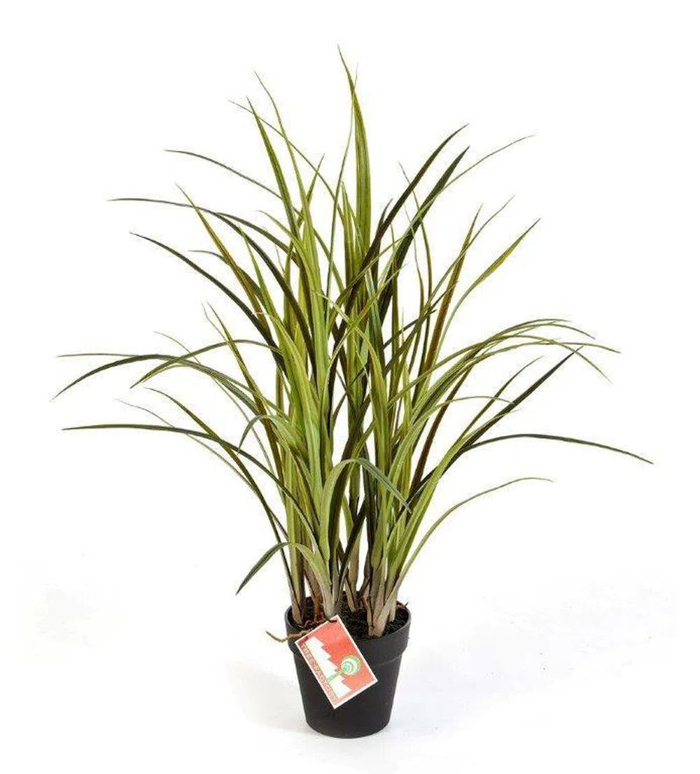 Künstliches Schilfgras Mia, 75 cm