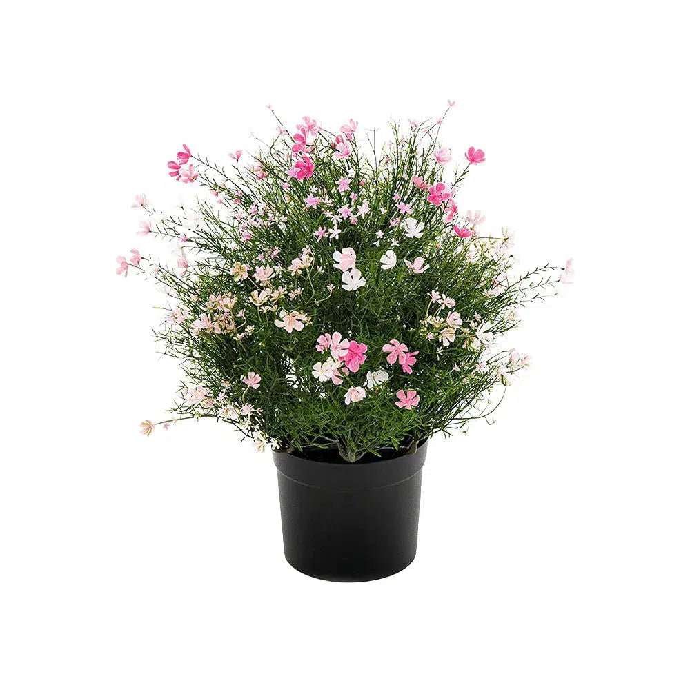 Künstliches Schleierkraut Denver, 50 cm