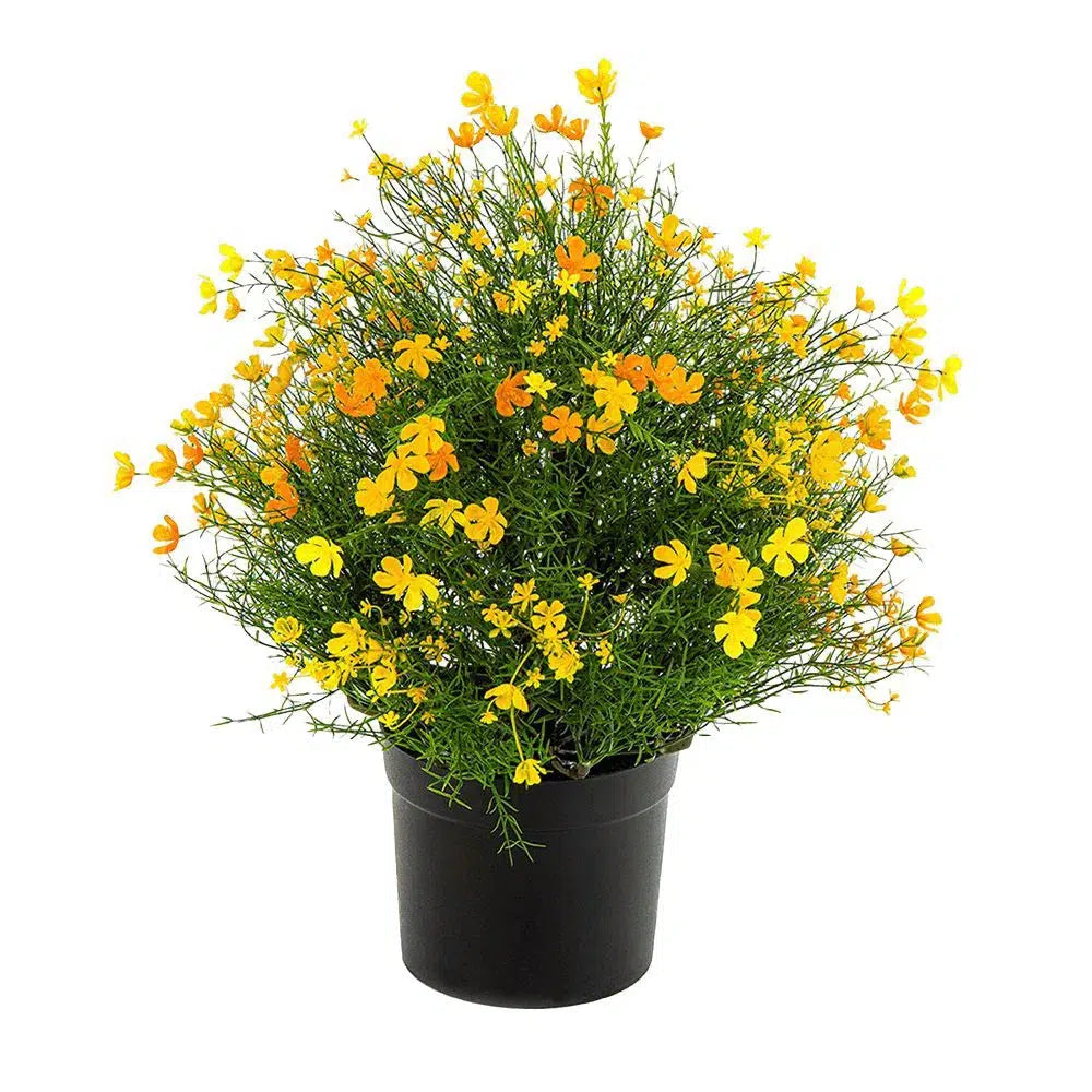 Künstliches Schleierkraut Denver, 50 cm