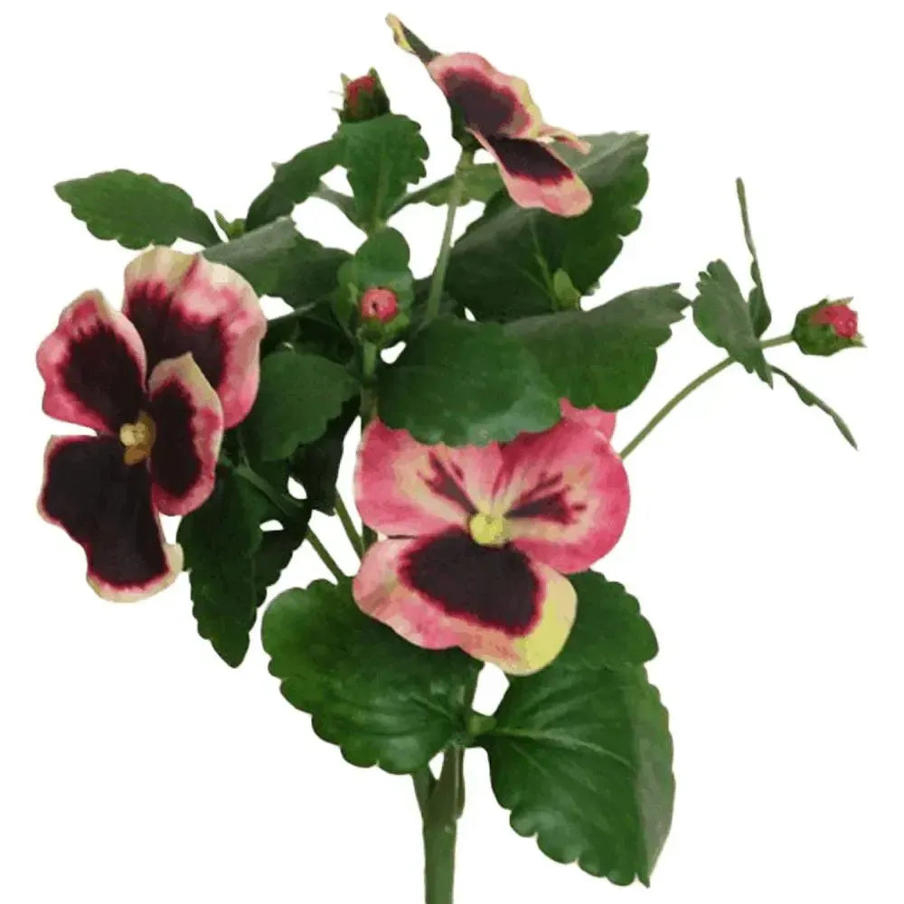 Künstliches Stiefmütterchen - Selina, 21 cm