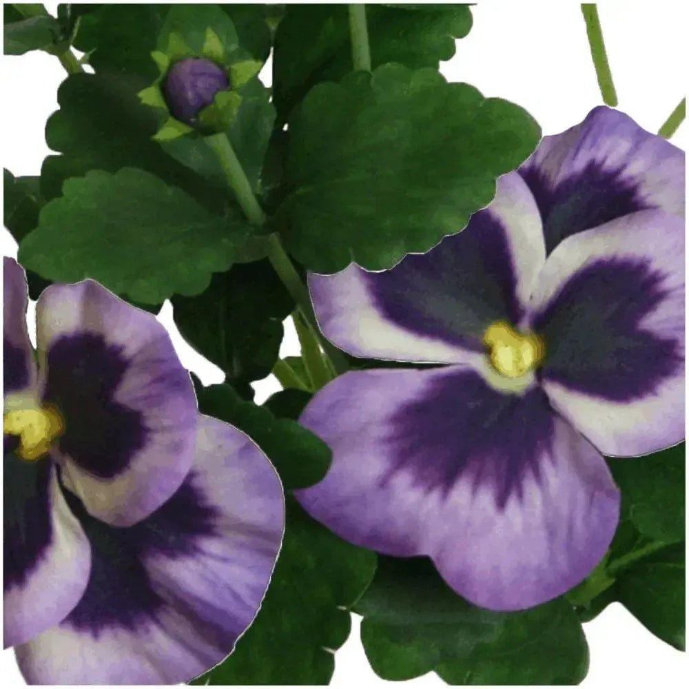 Künstliches Stiefmütterchen - Selina, 21 cm