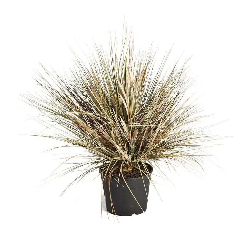 Künstliches Ziergras Autumn, 65 - 70 cm