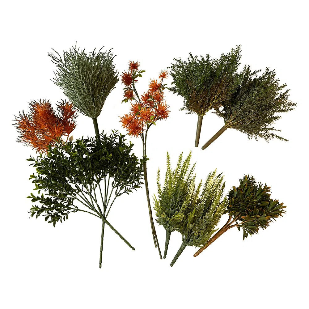 Pflanzpaket DIY Herbst/Winter - Sören